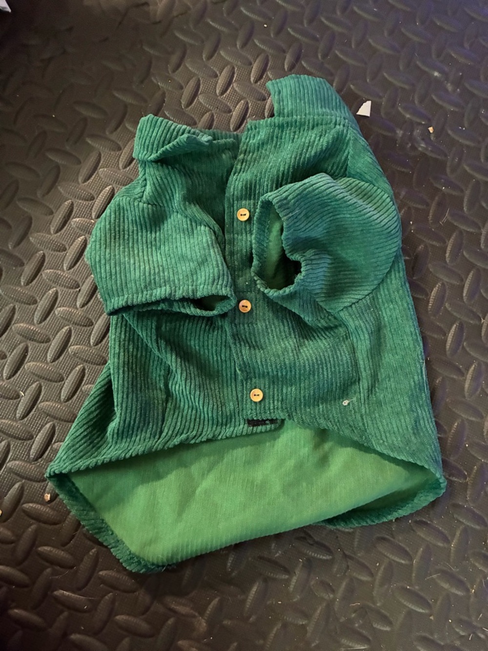 Green Corduroy Button-Up Pet Shirt